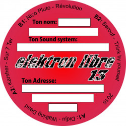 Elektron Libre 13