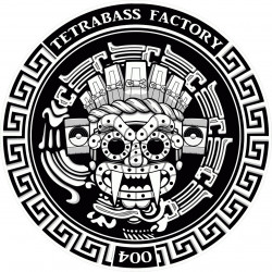 Tetrabass Factory 004