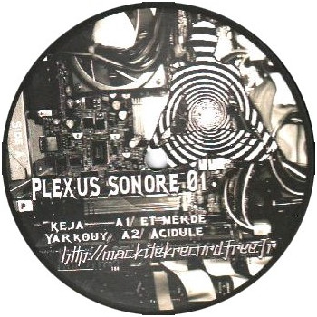 Plexus Sonore 01