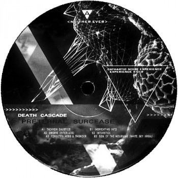 Cathartic Noize Experience X-019