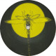 Dragonfly records BFLT 59