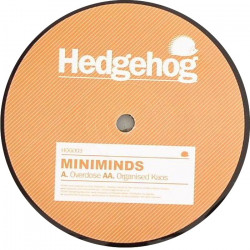 Hedgehog 003