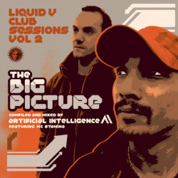 Liquid V Club Sessions Vol 2 - The Big Picture