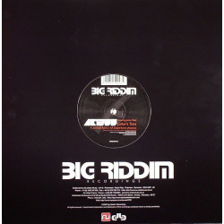 Big Riddim 004