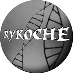 Rykoche 001