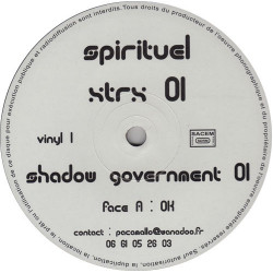 Shadow Government 01