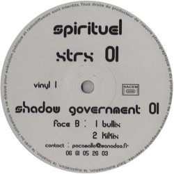 Shadow Government 01