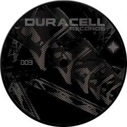 Duracell records 03